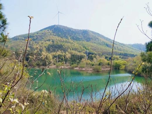 零抗散养清朝贡鸡、1年以上老母鸡和鸡蛋 商品图1