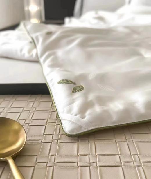 利路米100%辽原柞蚕丝小野蚕蚕丝被 工厂热卖推荐 商品图3