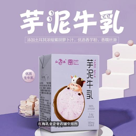 红梅芋泥牛乳200ml*12 商品图4