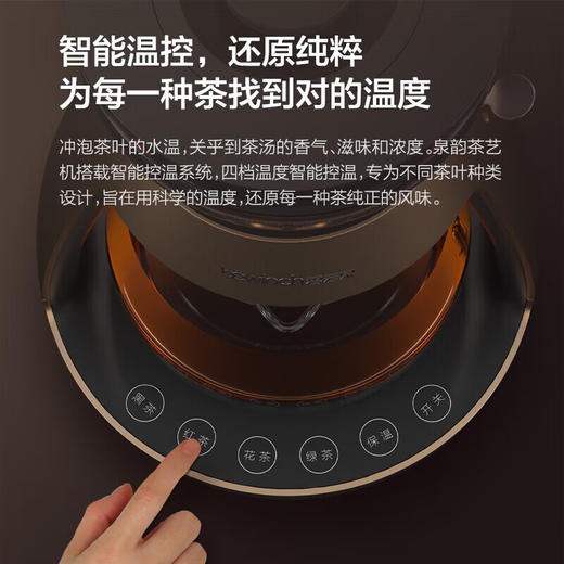 碧云泉S1功夫煮茶器泡茶艺壶恒温烧水耐高温玻璃养生办公室小型黑（HT701） 商品图4