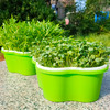 芽苗菜多彩种植盒 商品缩略图0