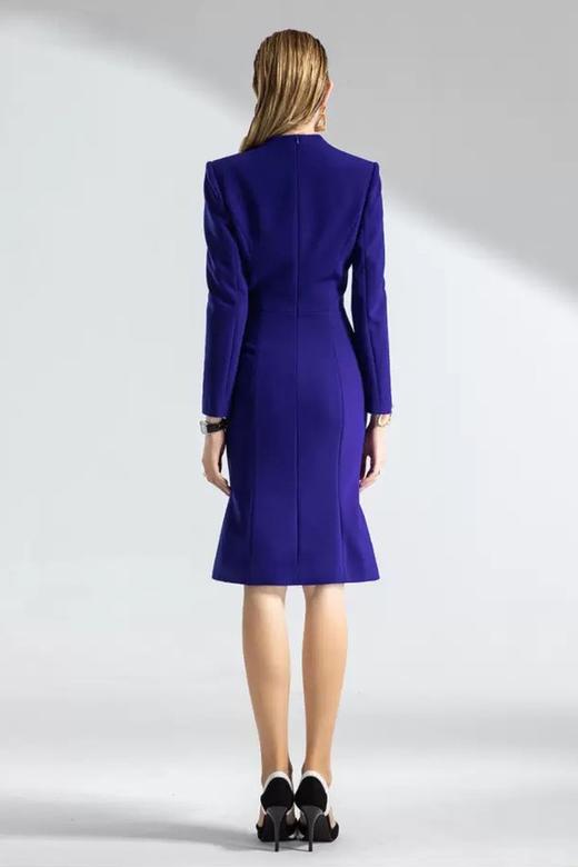 ELLA JADE 高贵典雅连衣裙 11987 商品图2