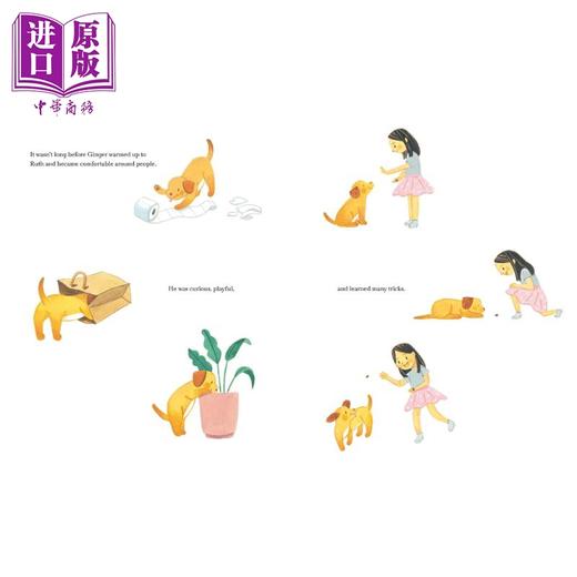 【中商原版】幸运狗 Lucky Dogs A Story About Fostering Pups英文原版 儿童绘本故事 动物宠物故事图画书 精装进口读物4-8岁 商品图4