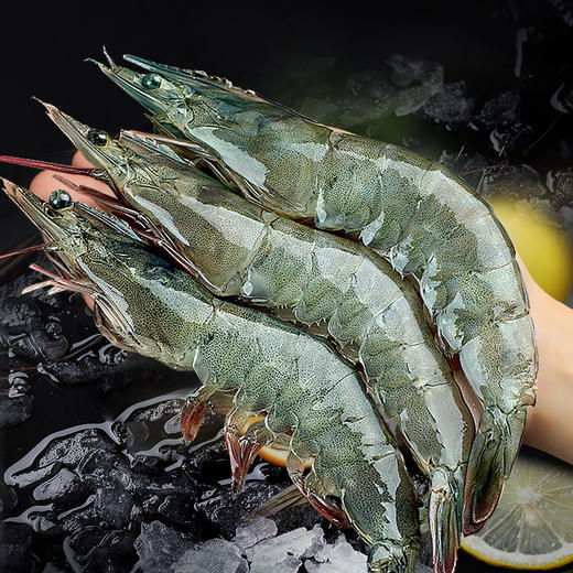 【4斤装！新鲜海捕大虾】鲜活速冻，壳薄肉嫩，营养美味，锁住虾的鲜与紧致！基围虾盐冻冷冻无冰海虾海鲜 商品图1