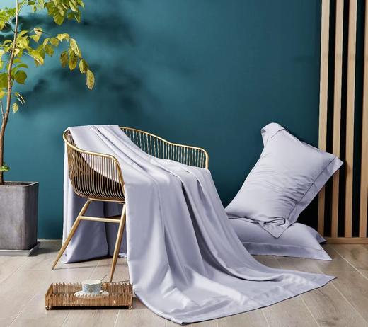 利路米百支纯色奥地利兰精天丝面料四件套 灰紫 商品图1