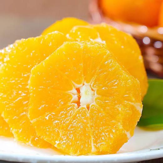 新鲜水果 伦晚秭归脐橙 商品图2