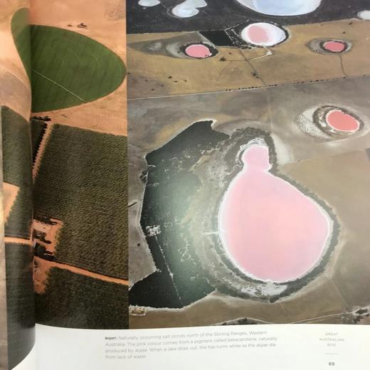 伟大的南方土地 数百幅彩色插图 精装16开 商品图7