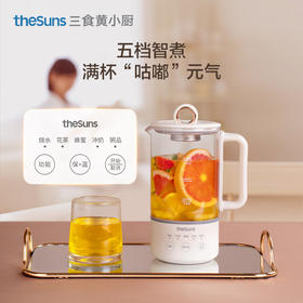 三食黄小厨迷你养生壶0.6升办公室多功能小型煮茶器烧水壶花茶壶  YB3