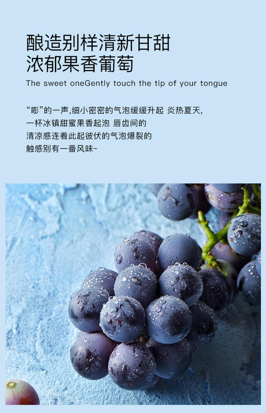 中澳袋鼠.Venus无醇起泡 葡萄酒  750ml/支 商品图3