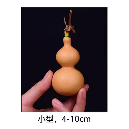 认购一株苗（葫芦娃娃伙伴计划） 商品图1