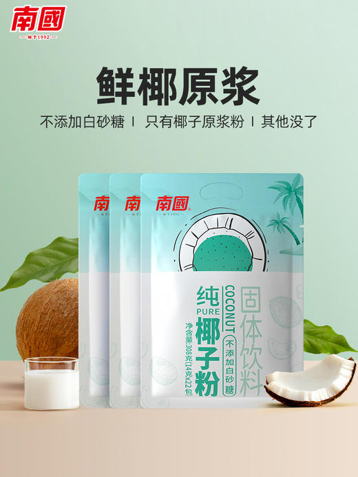 南国食品纯椰子粉308gX3 商品图0