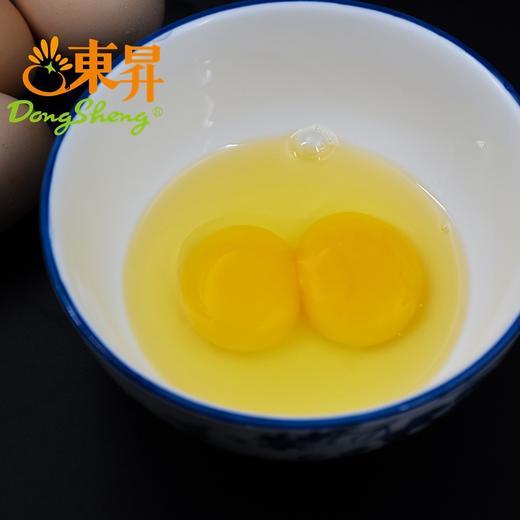 东升农场 凤竹山土鸡蛋 农家蛋 走地鸡 竹林散养 中草药喂饲 30枚 60枚 商品图4