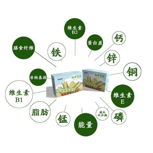 【质农】东北黄黑甜糯玉米8只盒装 香甜软糯 满口留香 商品图4