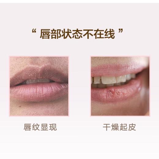 欧珀莱新均衡盈润护唇膏滋润呵护保湿 4g/支 商品图1
