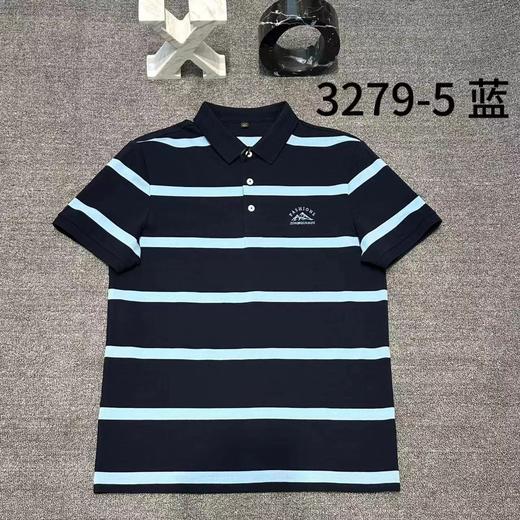 男反领短袖T3279 商品图1