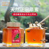 枣花蜂蜜田野牧蜂高原原蜜高活性成熟蜜有花香的蜂蜜牧蜂苏 商品缩略图2