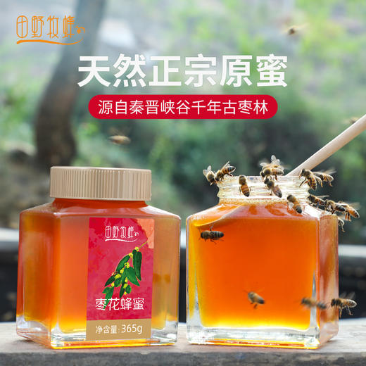 枣花蜂蜜田野牧蜂高原原蜜高活性成熟蜜有花香的蜂蜜牧蜂苏 商品图2