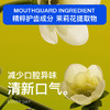 「拍1发3，9.9元到手3支」DR.BY白花茉莉薄荷牙膏100g 口腔护理清新口气 商品缩略图2