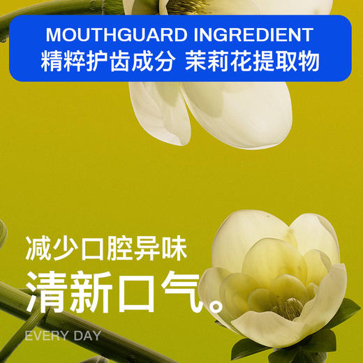 「拍1发3，9.9元到手3支」DR.BY白花茉莉薄荷牙膏100g 口腔护理清新口气 商品图2