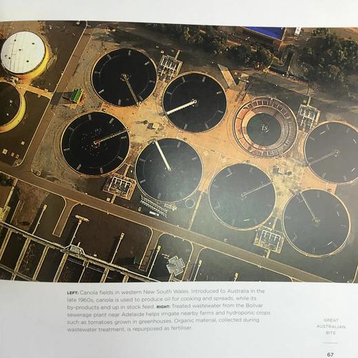 伟大的南方土地 数百幅彩色插图 精装16开 商品图8