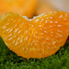 春见耙耙柑 不打甜蜜素 颗颗自然熟 颗粒饱满 风味浓郁 汁水丰富