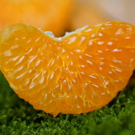 春见耙耙柑 不打甜蜜素 颗颗自然熟 颗粒饱满 风味浓郁 汁水丰富 商品图0