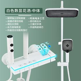 8063伯明翰数显中体-雅白