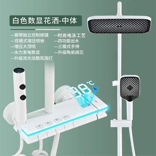 8063伯明翰数显中体-雅白 商品图0