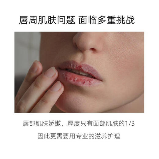 OLIVIAM澳莉维亚澳洲进口茶树鲜萃润唇膏滋润保湿补水防干裂淡化唇纹10ml 商品图2