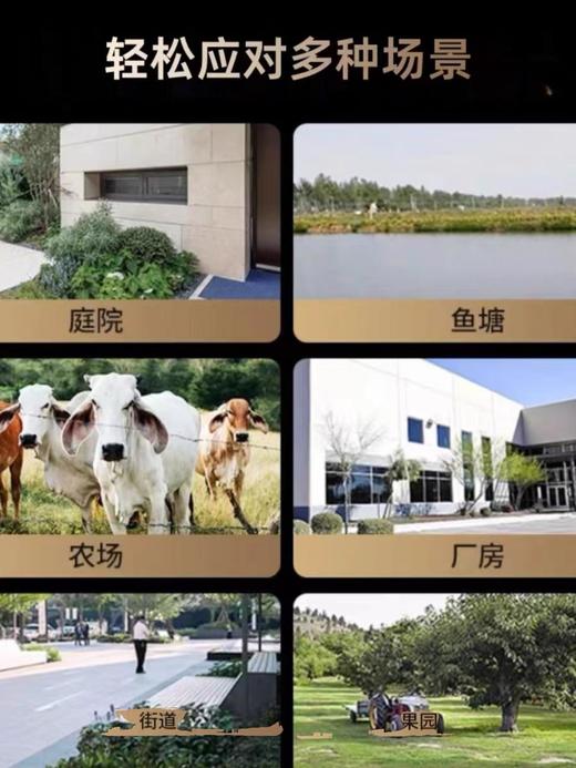 小蚁室外摄像机 黑光 商品图2