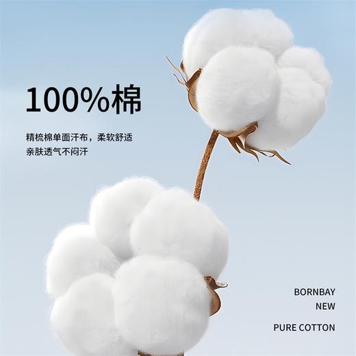 贝贝怡男童t恤长袖2024春装儿童插肩袖圆领打底衫休闲亲肤纯棉上衣ZB1DS057 商品图11