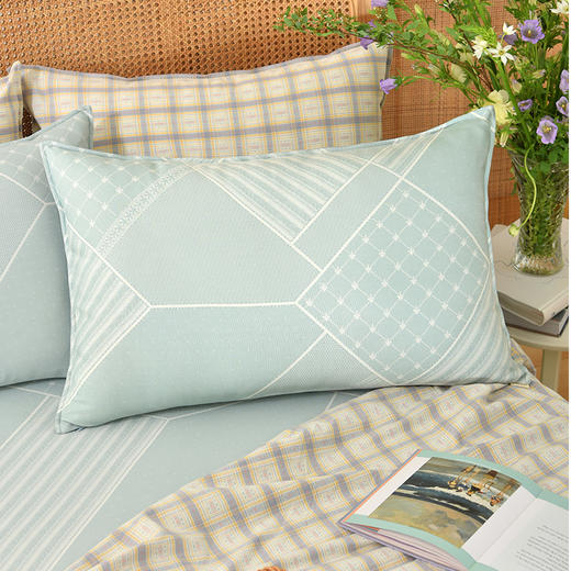 绿野仙踪系列竹纤维软凉席可机洗可折叠枕套枕罩2024夏季新款 商品图2