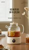 OIDIRE 多功能 办公室 玻璃花茶壶 1000ml 商品缩略图0