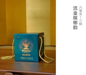 三鹤六堡茶 2023年流金槟榔韵300g（2019年陈化）