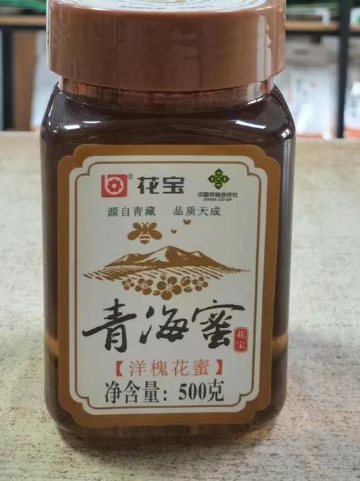 花宝洋槐花蜜  500g/瓶 商品图1