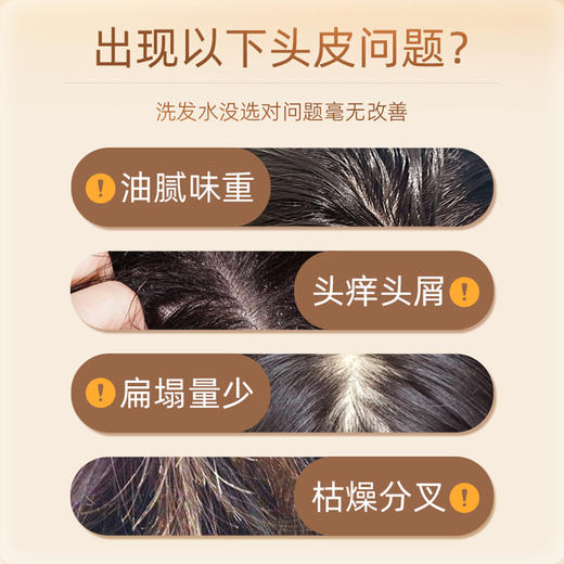 故乡好物 |（到手13瓶）寻香师澳洲茶树精油洗发水 商品图1