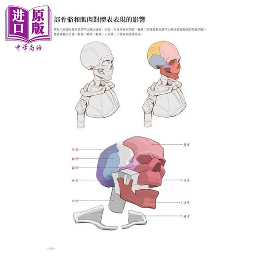 【中商原版】动漫人体结构表现技法部位训练 港台艺术原版 施通, TC晨 北星出版 商品图4