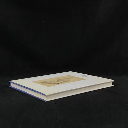 平面现代主义图集 约70幅插图 精装16开 商品图2