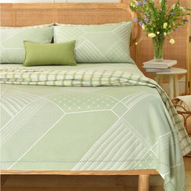 绿野仙踪系列竹纤维软凉席可机洗可折叠枕套枕罩2024夏季新款