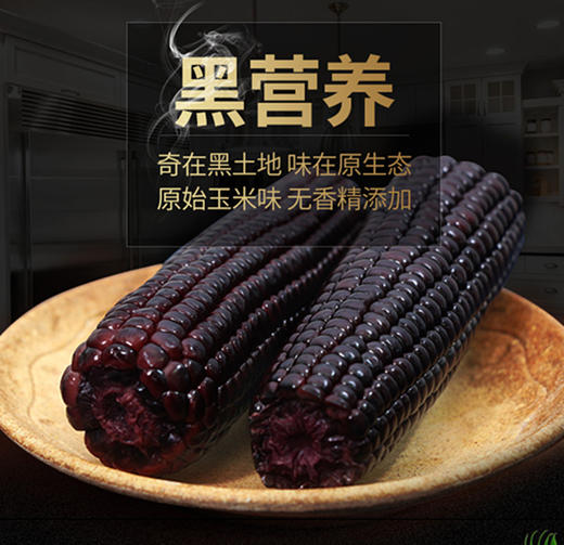 【质农】东北黄黑甜糯玉米8只盒装 香甜软糯 满口留香 商品图3