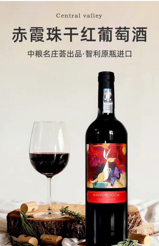 中澳袋鼠.经典赤霞珠干红葡萄酒  750ml/支 商品图1