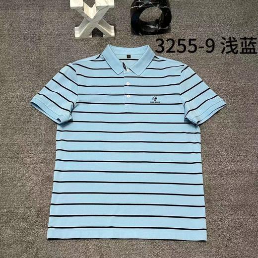 男反领短袖T3255 商品图1