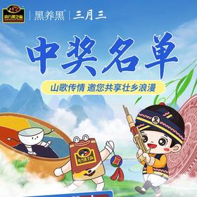 壮族三月三非遗壮锦绣球名单新鲜出炉啦~