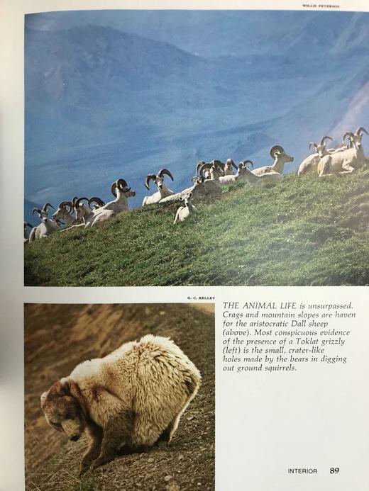 阿拉斯加州图集 300余幅插图 精装大16开 商品图12