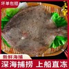 【买3送1，新鲜海捕多宝鱼】嫩滑刺小，活冻锁鲜，营养不流失！鲜活冷冻海鲜比目鱼大偏口鱼鲽鱼鸦片鱼大海鱼 商品缩略图0