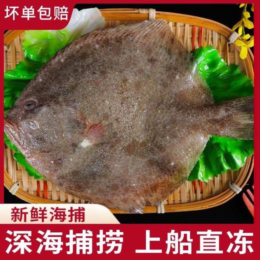 【买3送1，新鲜海捕多宝鱼】嫩滑刺小，活冻锁鲜，营养不流失！鲜活冷冻海鲜比目鱼大偏口鱼鲽鱼鸦片鱼大海鱼 商品图0