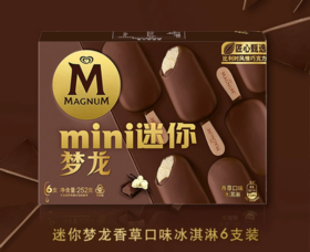 迷你梦龙 香草口味冰淇淋 多支装252g