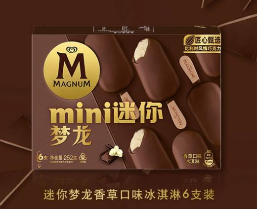 迷你梦龙 香草口味冰淇淋 多支装252g 商品图0