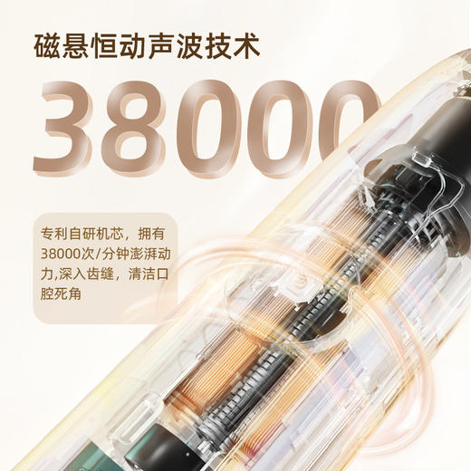 力博得智能声波电动牙刷（LBT-203563A） 商品图2