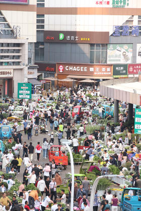  【云体验】花市奇遇记 